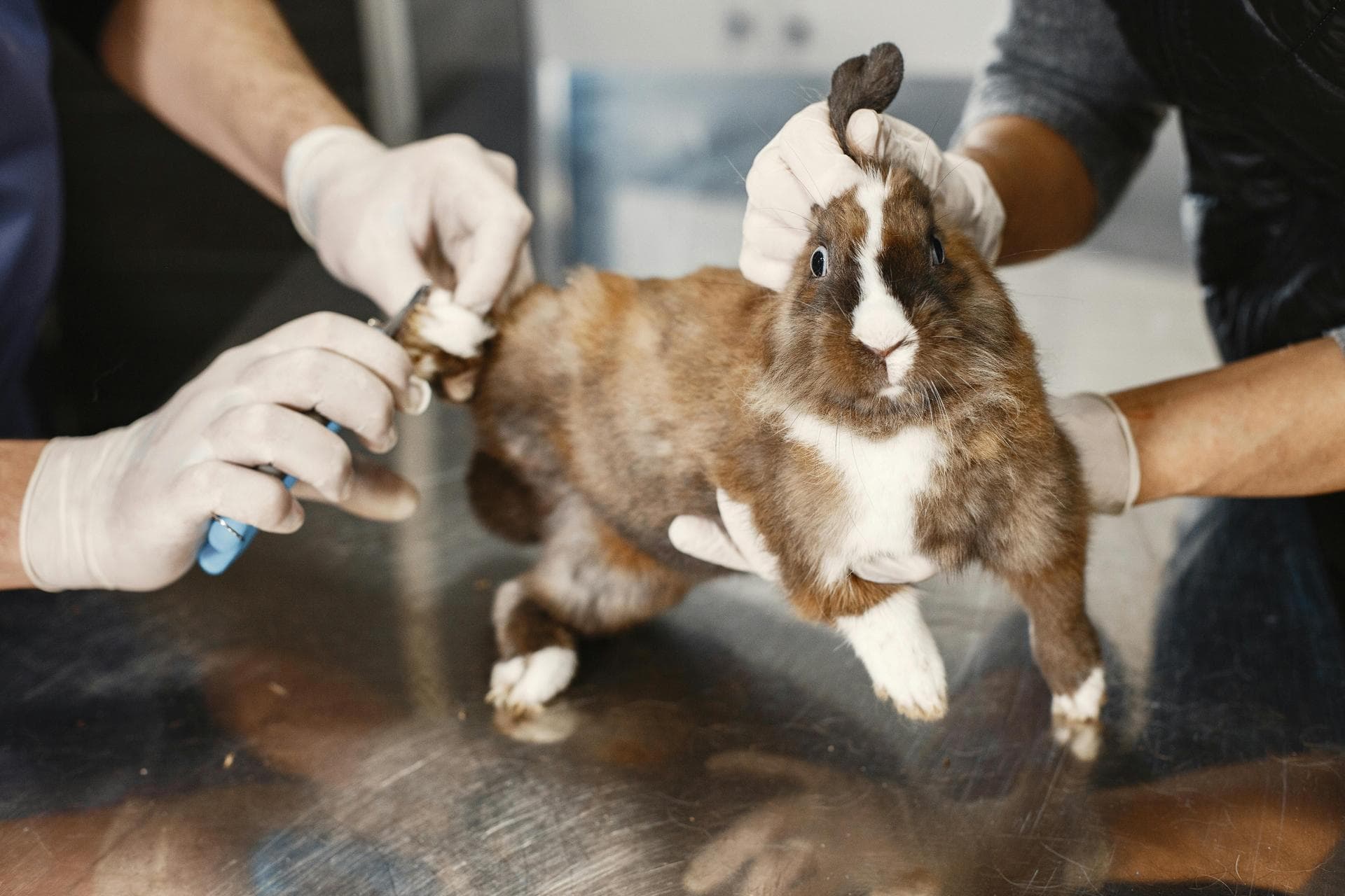 Annual Vaccination Booster Prices in Maidstone
